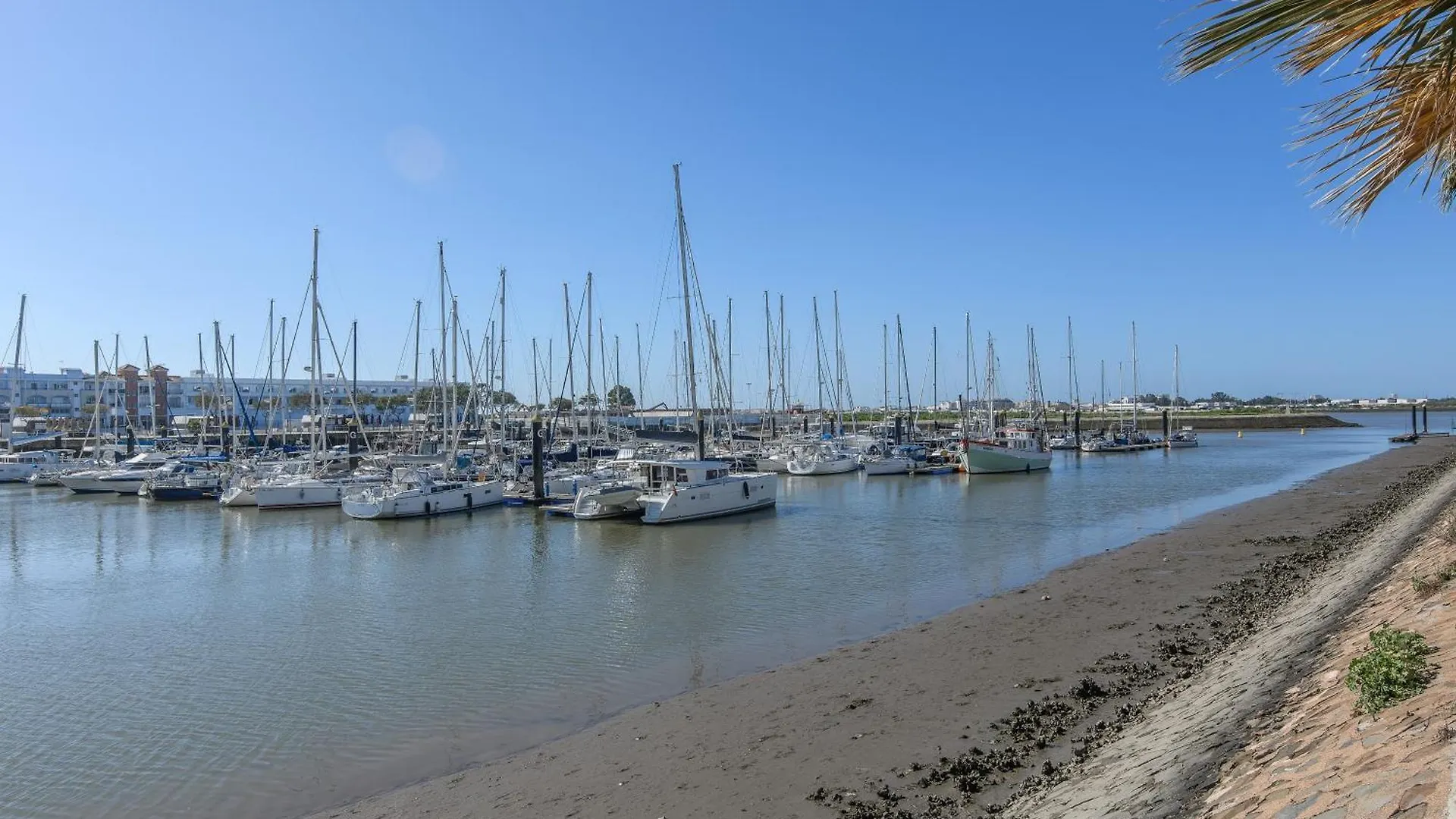 Casa Albufera Apartment Ayamonte